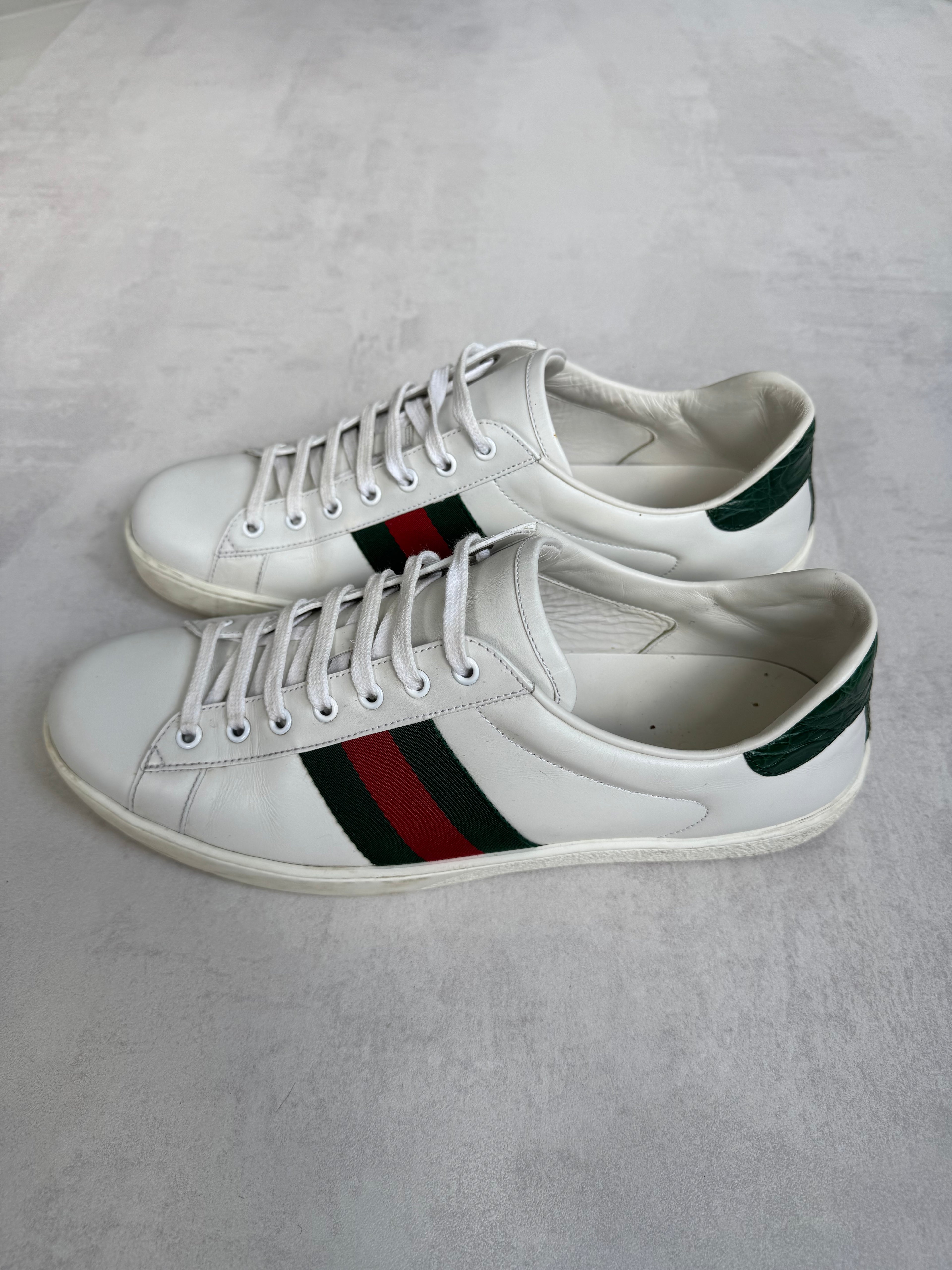 GUCCI ACE SNEAKER