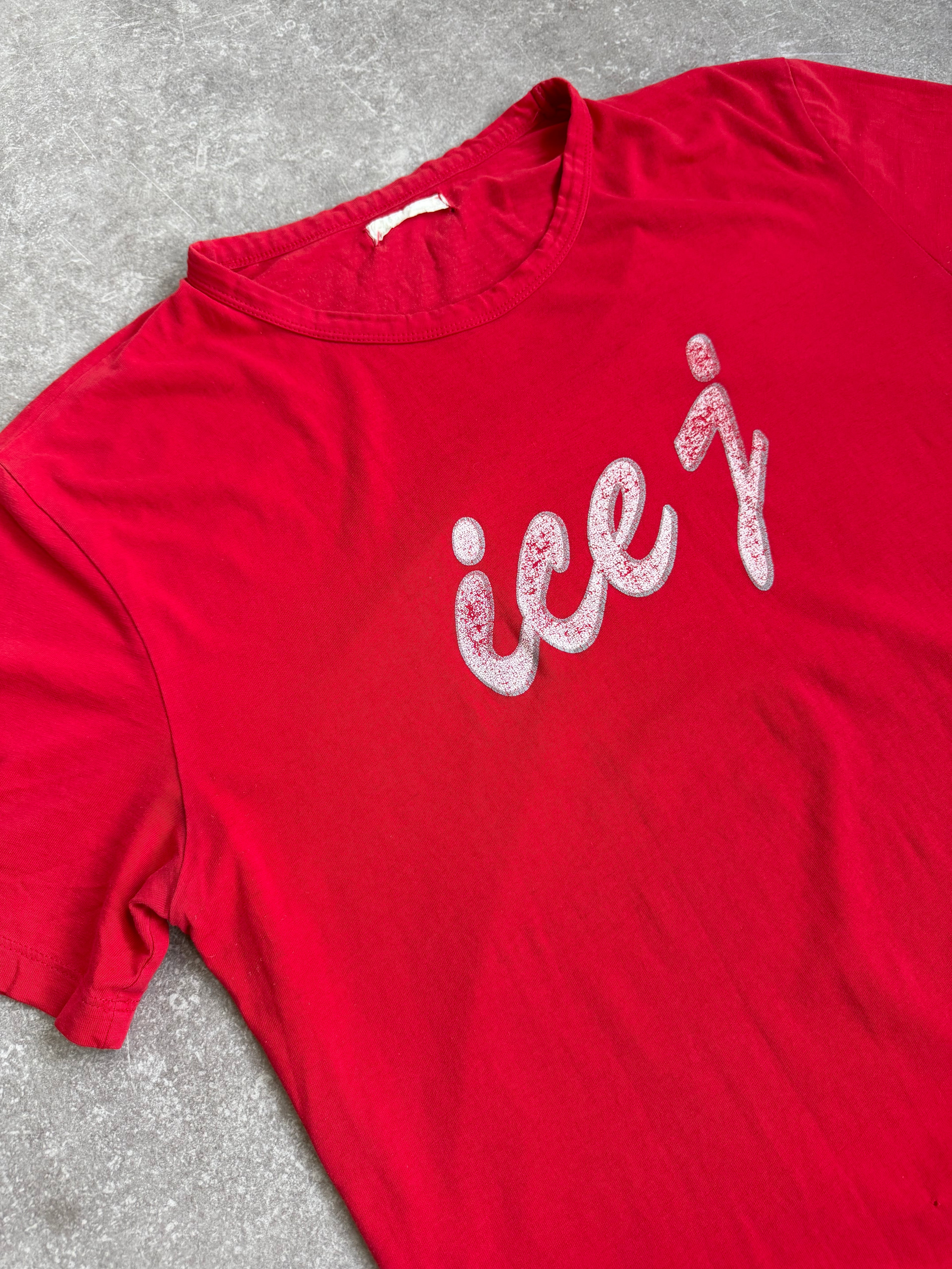 VINTAGE ICEBERG GRAPHIC TEE